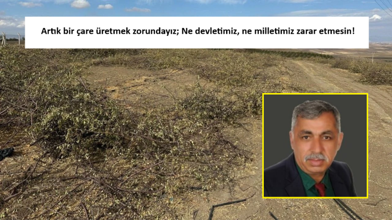 ADIYAMAN TARIMDA DENEME PİLOT BÖLGESİ HALİNE GELDİ!