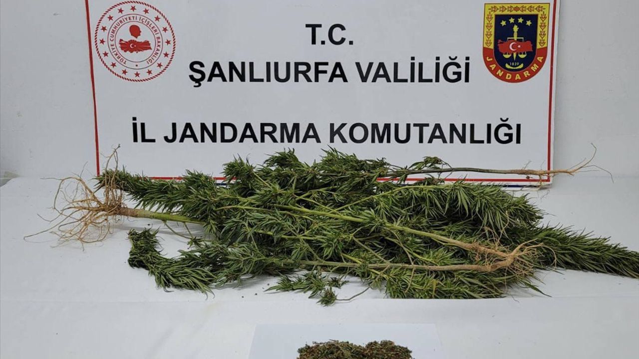 Şanlıurfa'da madde operasyonunda 4 şüpheli yakalandı
