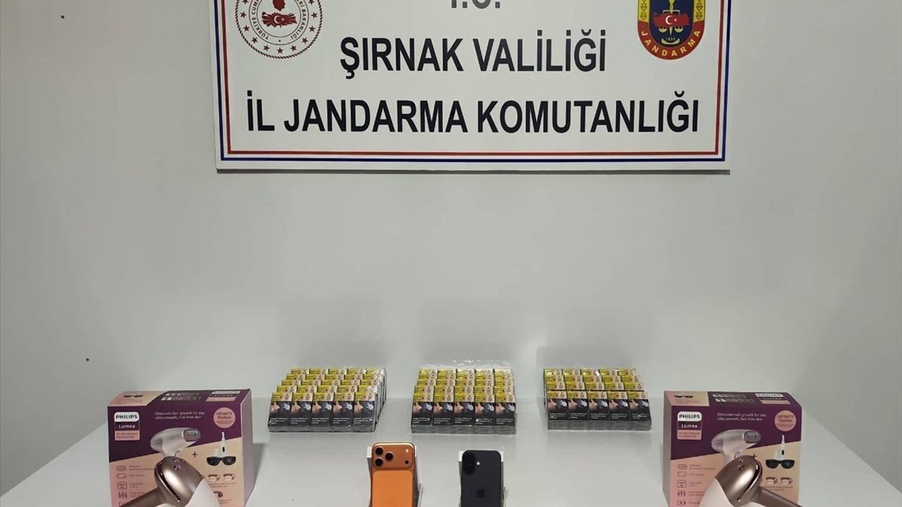 Şırnak’ta 87 şüpheliye operasyonla işlem yapıldı