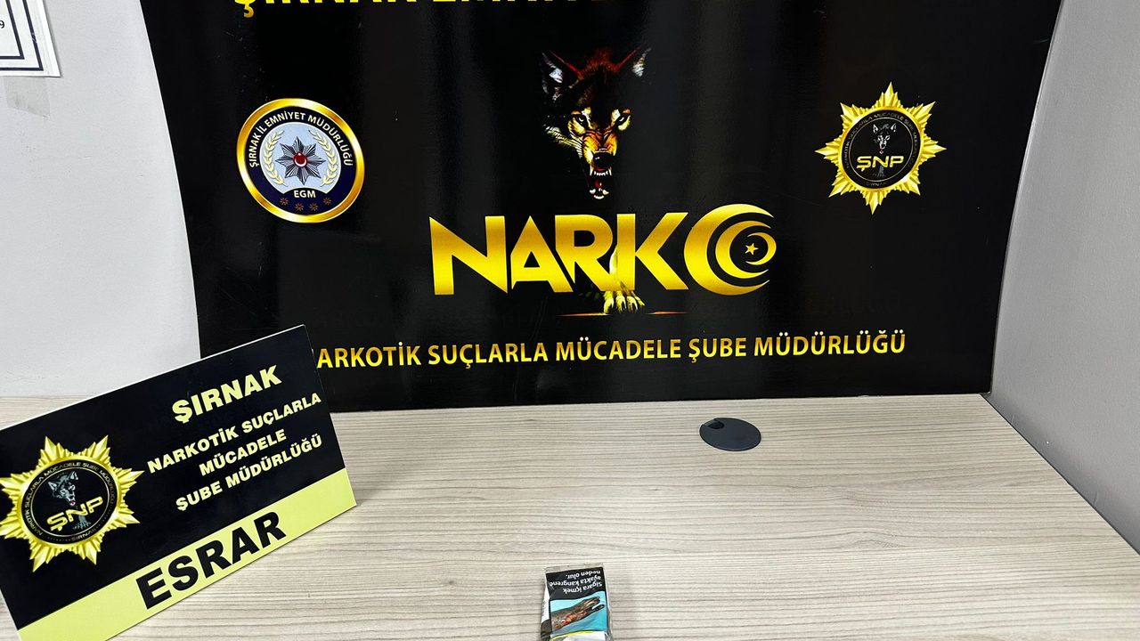 Şırnak'ta narkotik ve kaçakçılık operasyonlarında 5 zanlı tutuklandı