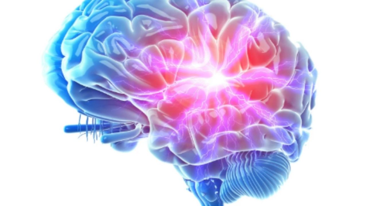 Türkiye'nin 'IQ haritası' güncellendi: Zirve Eskişehir'in