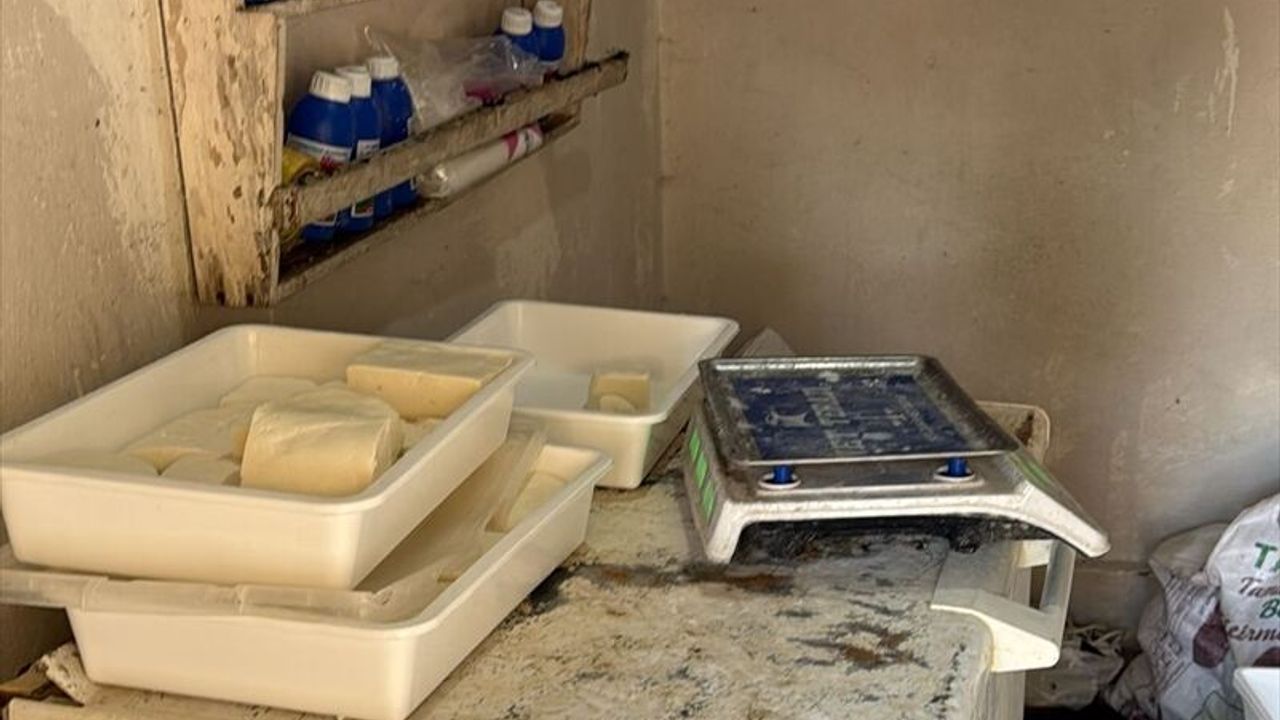 Kilis'teki Peynir İmalathanesine Hijyen Kapatması