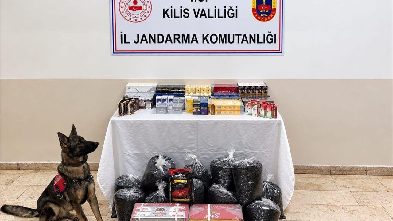 Kilis'te Kaçakçılıkta 1 Şüpheli Hakkında İşlem Yapıldı