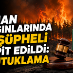 Orman Yangınlarında 43 Şüpheli Tespit Edildi: 11 Tutuklama