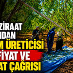 Turanlı'dan badem üreticisi için fiyat ve ithalat çağrısı