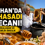 Çelikhan’da Bal Hasadı Şenliği: Üreticiler Hasat Yaptı