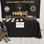 Cizre'de Narkotik Köpeğiyle Büyük Yasa dışı madde Operasyonu