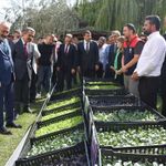 Şırnaklı Çiftçilere Kışlık Sebze Fidesi Desteği