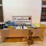 Şırnak'taki Operasyonlarda 196 Şüpheliye Adli İşlem