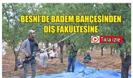 Besni'de Badem Bahçesinden Diş Hekimliğine