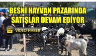 Besni Hayvan Pazarında Satışlar Devam Ediyor