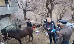 Enkazdan 21 gün sonra canlı çıkarıldı