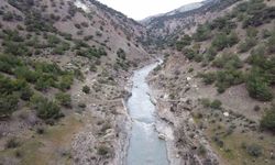 Depremde tarihi Vicina Köprüsü de yıkıldı
