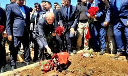 Kılıçdaroğlu, depremzedelerin mezarına karanfil bıraktı