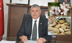 Turanlı, "Badem üreticileri hükümeten müjdeli bir haber bekliyor" 