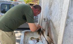 Adıyaman’da termometreler 41 dereceyi gördü
