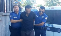 Besni'de Kedileri bıçaklayarak öldüren şahıs tutuklandı