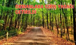 Yangınların önlenmesi amacıyla ormanlara giriş yasaklandı