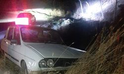 Virajı alamayan otomobil şarampole girdi: 1 yaralı