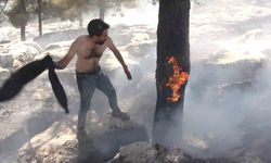 Alev alev yanan ağacı tişörtüyle söndürdü