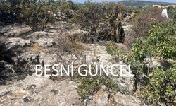 Besni’de alevlerin arasında kalan şahıs hayatını kaybetti.