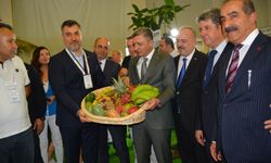Meyve ve Sebze Almak İçin Antalya'ya Akın Ettiler