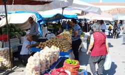 Yurt İçi Üretici Fiyat Endeksi artış gösterdi