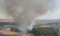 Çamlık alanda çıkan yangın paniğe neden oldu