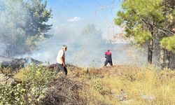 Otluk alanda çıkan yangın korkuttu