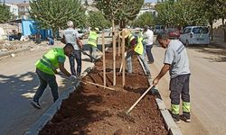 Refüj ve Kavşaklarda  Çalışmalar Devam Ediyor