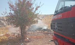 Yangın ormanlık alana sıçramadan söndürüldü