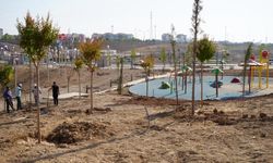 Adıyaman Millet Bahçesi ağaçlandırılıyor