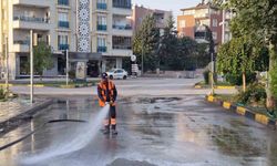 Şehir genelinde temizlik çalışması devam ediyor