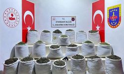 914 kilogram esrar ele geçirildi