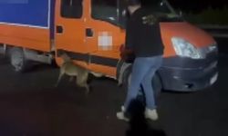 28 kilo skunk ele geçirildi: 2 tutuklama