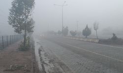 Adıyaman'ın Gölbaşı İlçesin'de yoğun sis etkili oldu