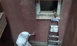 Havalandırma boşluğuna düşen kedi kurtarıldı
