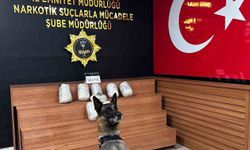 9 kilo 350 gram skunk ele geçirildi