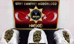 Siirt’te 2 kilo 400 gram kubar esrar yakalandı