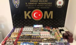 Şırnak’ta 68 şüpheliye adli işlem yapıldı