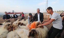 Tahmazoğlu “Hayvancılığa desteğimiz sürecek”