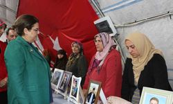 TBMM İnsan Hakları İnceleme Komisyonu heyeti, Diyarbakır anneleriyle bir araya geldi