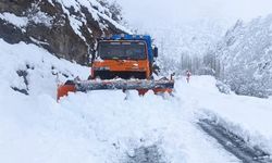 Kar kalınlığı 1 metreyi geçti, 20 köy yolu ulaşıma kapandı