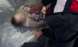 Jandarmanın kurtardığı bebek yaşam mücadelesini kaybetti