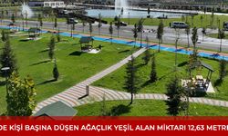 Türkiye'de Kişi Başına Düşen Ağaçlık Yeşil Alan Miktarı 12,63 Metrekare Oldu