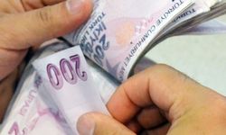 Bakan Göktaş: “Türkiye Aile Destek Programı ödemelerini hesaplara yatırıyoruz”