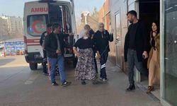 72 yaşındaki kadın besledikleri köpeğin saldırısına uğradı