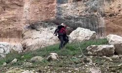 İtfaiye eri kurtardığı keçiyi sırtında taşıyarak indirdi