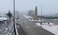 Adıyaman Sincik'te kar yağışı başladı