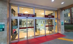 Dolandırıcılık yapan şebeke çökertildi
